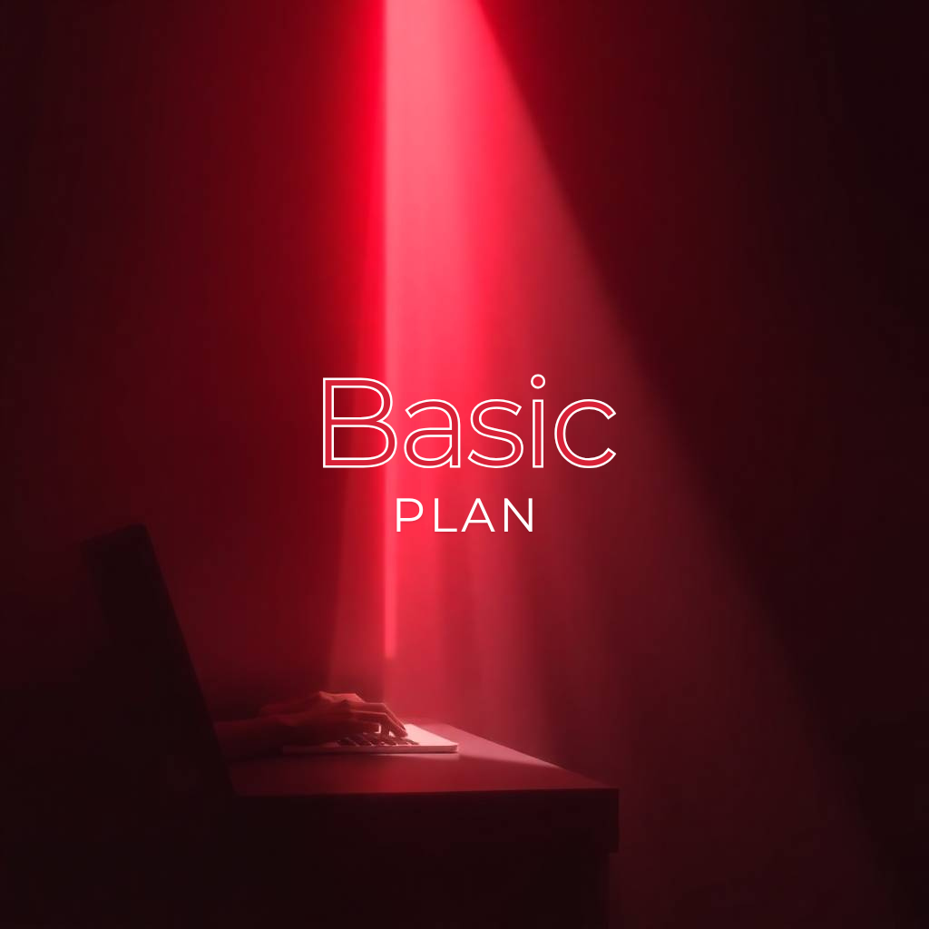 Basic Plan